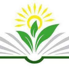 Проєктне та компетентнісно орієнтоване навчання в НУШ